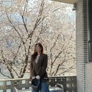 르메르 포춘백 미니 1년 사용 후기 다크초코 소가죽 공홈 직구 • 100만원대 명품백
