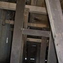 군산철망 | 김관채 고양이탐정 후기/ (경기도 평택) 타운하우스에서 가출한지 3일된 고양이를 300m 밖 숲속 폐가...