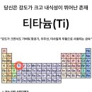 매일넷
