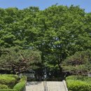 오금로219(방이고분군) 네이버블로그