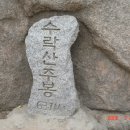 ★신토불이 이미지