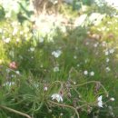 동백해비치펜션 이미지