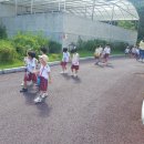 성균관유치원 이미지