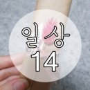 리얼 세럼 파운데이션 / 아이디어스 센트레스트 하바리움 각인볼펜 / 김싸부의 숙성연어 / 신따로스시