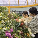 황금박쥐생태관 옆 이미지