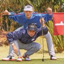 Y·N 스크린골프클럽 이미지