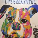 토마토세탁소 이미지