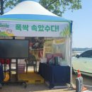 고창이네 | 고창 청보리밭,유채꽃 관람 후기