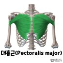 빗미PT 이미지