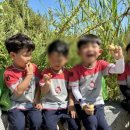 한마음자연생태유치원 | 수완지구 숲유치원 &#39;장성 한마음자연생태유치원&#39; 7살 &amp; 5살 아이 등원중