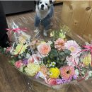 청솔플라워 - 고양시 덕양구 호국로 531 | 청솔플라워