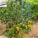 병식농장 이미지