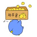 원두막과일 - 구리시 갈매중앙로 70 | 원두막과일