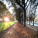 광장약국 이미지