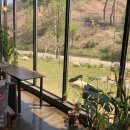 프롬(From)302 이미지