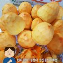 철이농장 | 경남 김해 대봉감 수확중