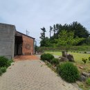 더정글 이미지