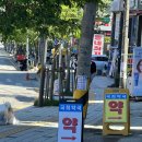 국희약국 이미지