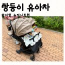 뉴지니 | 쌍둥이 절충형 유아차 유모차 와이업 뉴지니트윈 6개월 사용후기
