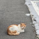 장군마을5길 이미지