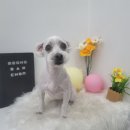 멍 삼촌 이미지