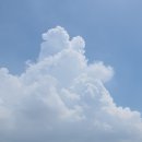 헤르만공인중개사사무소 이미지