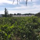 신흥1리 마을회관 이미지