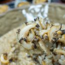 오가네전복 이미지