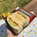[수성구 맛집] 대구 범어동 샌드위치 &#34;샌드위크&#34; 후기 &amp; 단체주문 추천