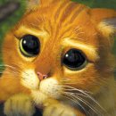 장화신은고양이 이미지