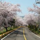 자월도펜션민박 이미지