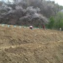 솔로몬농장 이미지