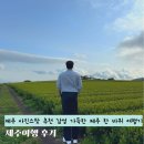 공항입구 삼거리 | 제주 사진스팟 추천 감성 가득한 제주 한 바퀴 여행기 제주여행 후기