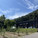 [파주] 서울에서 한시간 초리풍경오토캠핑장 : 7번 사이트 후기