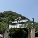 함박이네 애견샵 | 용인 처인구 대형카페 정그리다 방문 후기와 꿀팁