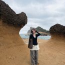 싸리하우스 | 260225-27 의영이와 타이베이