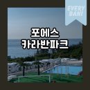 (주)포레스트 카라반 파크 | 포항카라반 눈이 즐거운 구룡포 오션뷰 수영장 4S포에스카라반파크 1박후기