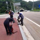 봉오2리 이미지