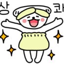 탈모야놀자 이미지