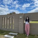 구공구공케이크 이미지