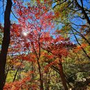 경주 백석산(국립공원단석산지구)~백석암 비지고개 ~ 241104 이미지