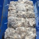 쭈꾸미스타 이미지