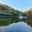 킹콩백화점 수원점 이미지