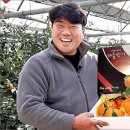 레드향 민박 이미지