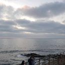 라호야(LA JOLLA) 이미지