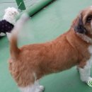 반야세탁소 이미지