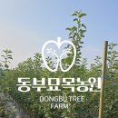 동부꽃농원 이미지