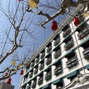 대 덕 사 | 상하이 4박5일 여행 | 우캉맨션 | 신천지 | 점도덕 | 예원 | 불가리 바