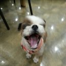 개미남 이미지