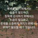 공책과연필